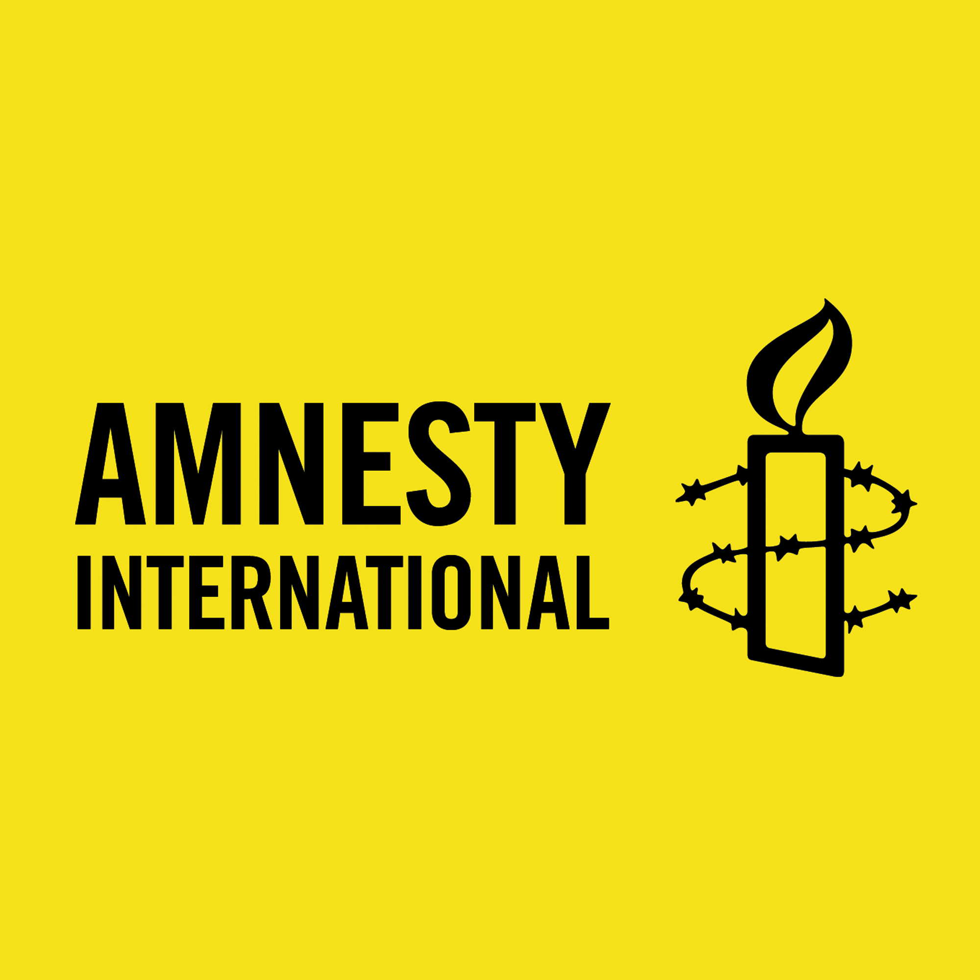 Международная амнистия (Amnesty International)